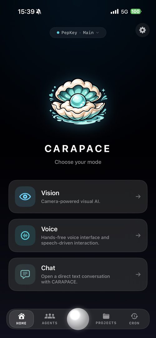 CARAPACE home runtime picker