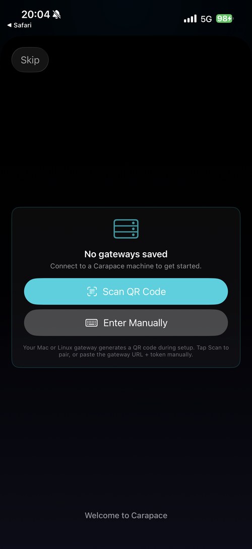 CARAPACE gateway pairing screen with Scan QR Code and Enter Manually options