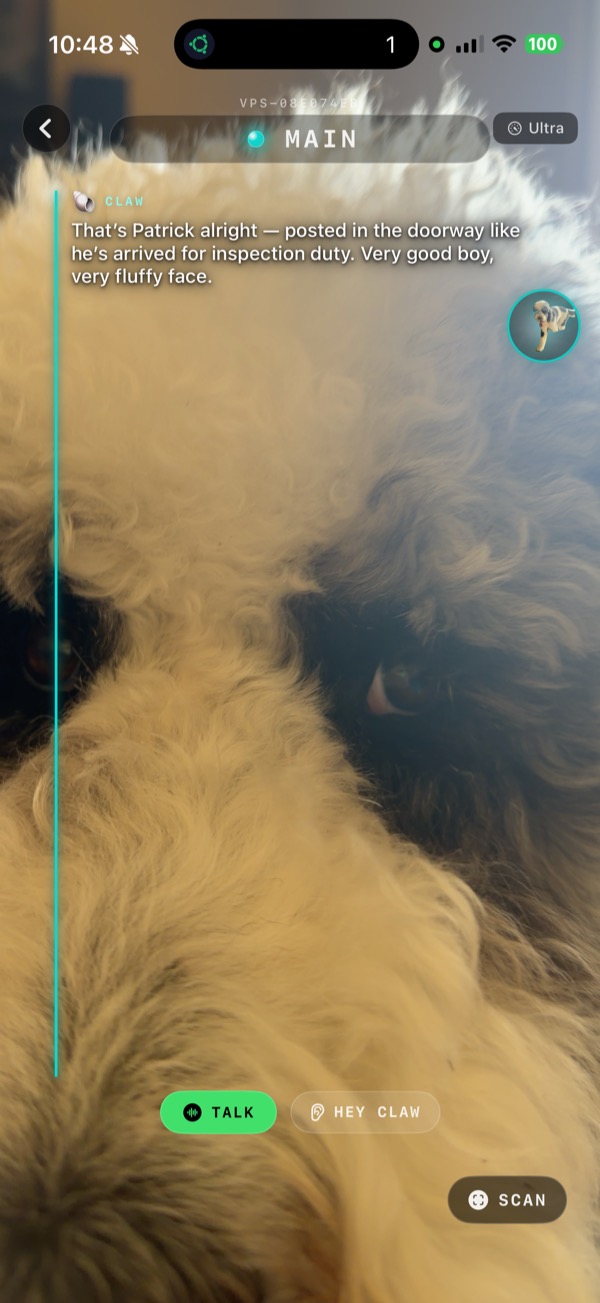 CARAPACE vision mode on iPhone